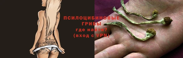 apvp Гусь-Хрустальный