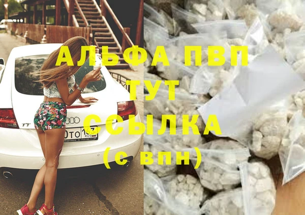 прущая мука Гусев