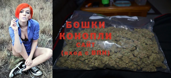 apvp Гусь-Хрустальный