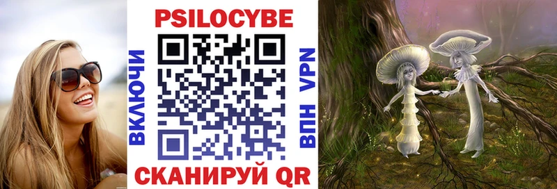 Купить где  Берёзовка  Псилоцибиновые грибы Magic Shrooms 